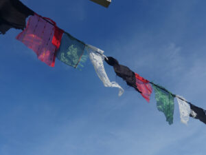 Lire la suite à propos de l’article From Cévennes to Palestine 2024 2025